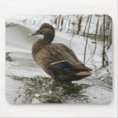 Grijze eend op donker het meer muismat (Voorkant)