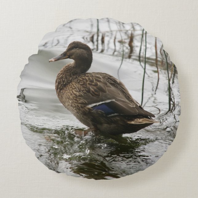 Grijze eend op donker het meer rond kussen (Voorkant)
