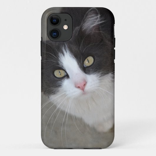 grijze en witte kat Case-Mate iPhone case (Achterkant)