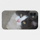 grijze en witte kat Case-Mate iPhone case (Achterkant (horizontaal))