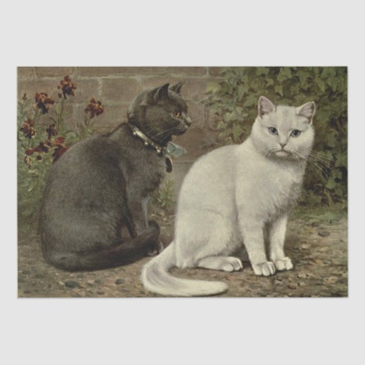 Grijze en witte kat Ephemera Decoupage Tissuepapier (Voorkant)