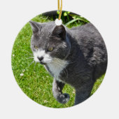 Grijze en witte kat keramisch ornament (Voorkant)