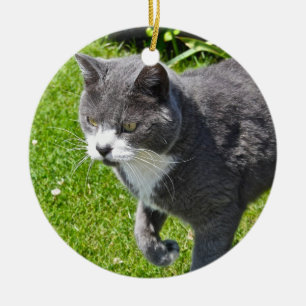 Grijze en witte kat keramisch ornament