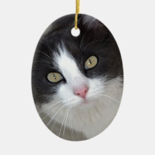 grijze en witte kat keramisch ornament