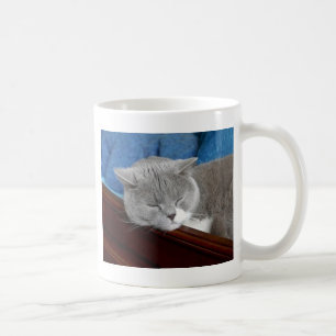 grijze en witte katteslaap koffiemok