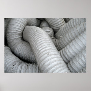 Grijze en zwarte wasbank poster