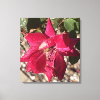 grijze Florale Rode Print