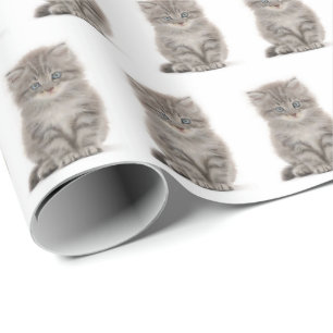 Grijze fluffy Kitten op wit Cadeaupapier