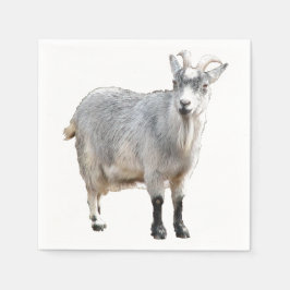 Grijze Geit Boerderij Dierlijke Natuur Foto Servet