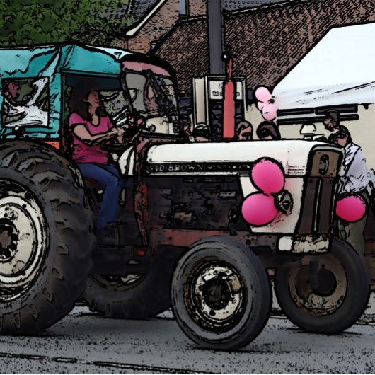 Grijze gisttrekker Legpuzzel