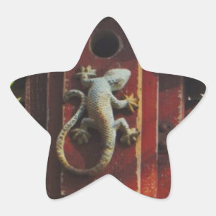 grijze hagedis op versleten hout ster sticker