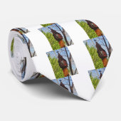 grijze hagedis op versleten hout stropdas (Opgerold)