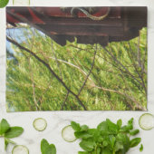 grijze hagedis op versleten hout theedoek (Gevouwen)