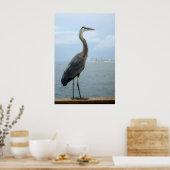 grijze haron op de pier poster (Keuken)