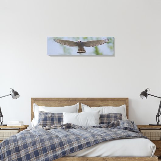 Grijze Hawk op een vreedzaam vliegcanvas Canvas Afdruk (Insitu (Slaapkamer))