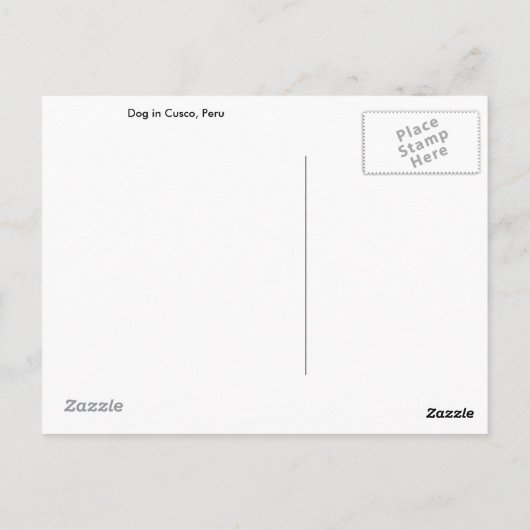 Grijze hond in Cusco, Peru Briefkaart (Achterkant)