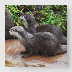 Grijze Hongaarse otters, vierkante wandklok Klok