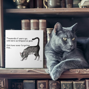 Grijze humoristische grillige kat Egyptische Mau Tegeltje