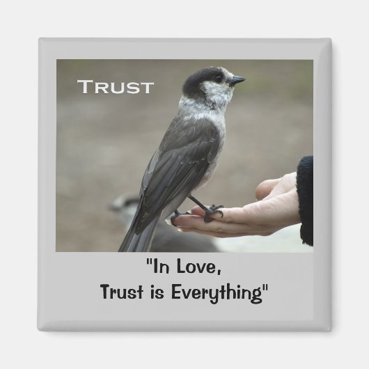 Grijze Jay Motivatie magneten (Voorkant)