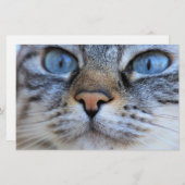 Grijze kat briefpapier (Voorkant / Achterkant)