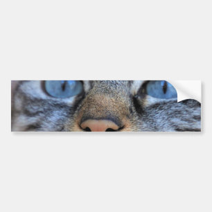 Grijze kat bumpersticker