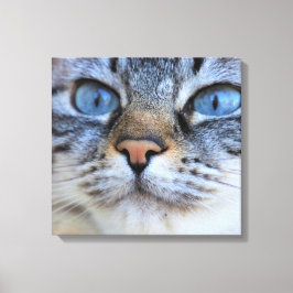 Grijze kat canvas afdruk