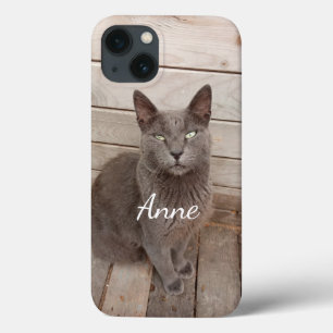 Grijze kat iPhone 13 hoesje