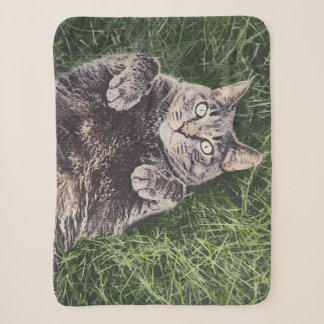 grijze kat die in het gras ligt digitale Sherpa de Deken