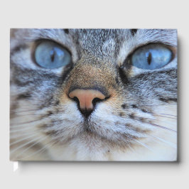 Grijze kat gastenboek