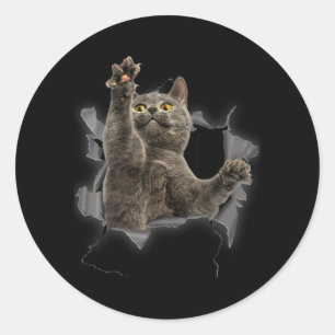 Grijze Kat Gescheurde Stof Grappige Kat Vader Kat Ronde Sticker