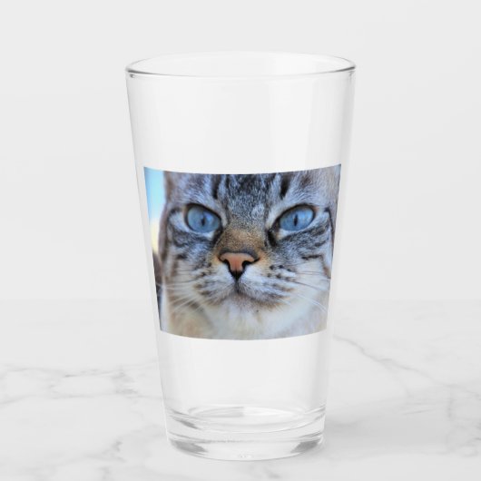 Grijze kat glas (Voorkant)