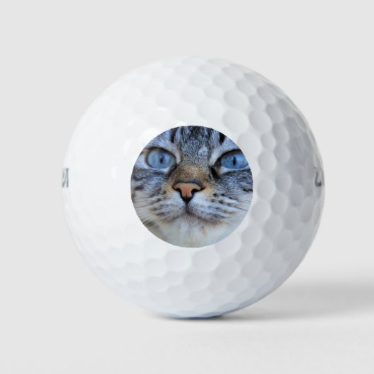 Grijze kat golfballen (Voorkant)
