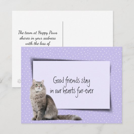 Grijze Kat Huisdier Verlies Van Dierenarts Briefkaart (Voorkant / Achterkant)
