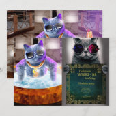 Grijze kat in bad kaart (Voorkant / Achterkant)