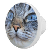 Grijze kat keramische knop (Rechts)