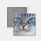 Grijze kat magneet (Voorkant / Achterkant)