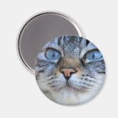 Grijze kat magneet (Voorkant / Achterkant)