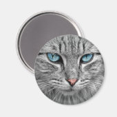 Grijze kat met blauwe ogen magneet (Voorkant / Achterkant)