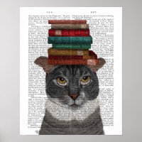 Grijze kat met Boeken op kop