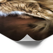 Grijze kat met groene ogen poster (Hoek)