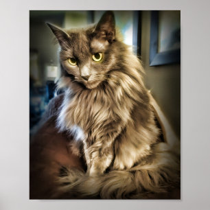 Grijze kat met groene ogen poster