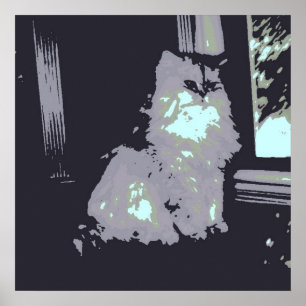 Grijze kat met lange haren poster