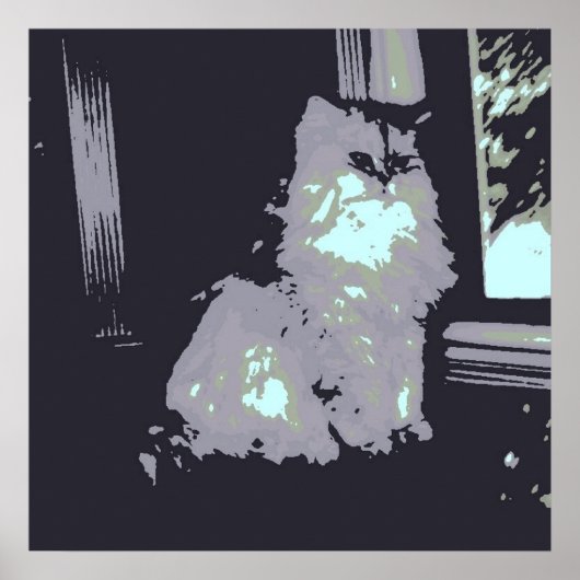 Grijze kat met lange haren poster (Voorkant)