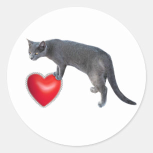 Grijze kat met rode hart Stickers
