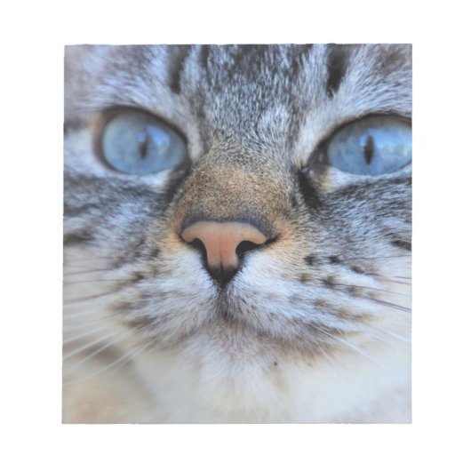 Grijze kat notitieblok (Voorkant)