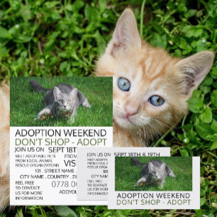 Grijze kat op gras, advertentie voor huisdier adop flyer