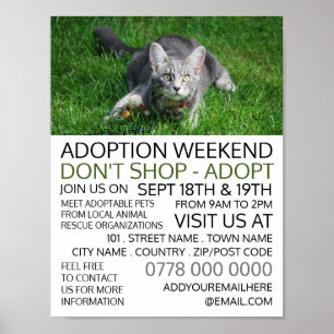 Grijze kat op gras, Pet Adoption Event Adverteren Poster