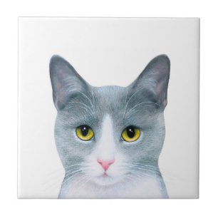 Grijze Kat Portret 611 Tegeltje