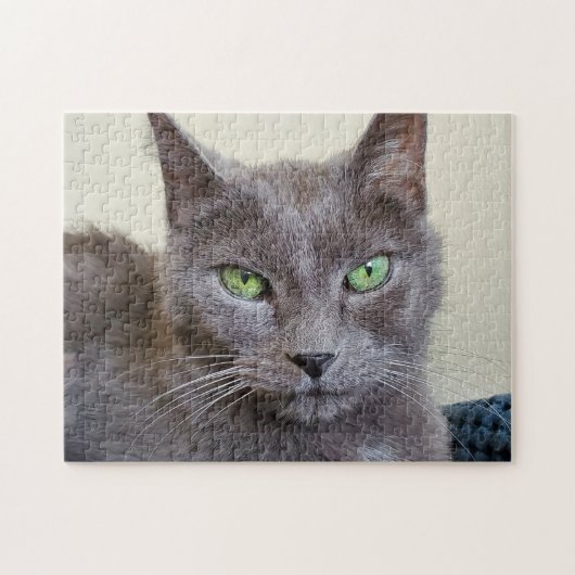 Grijze kat puzzel (Horizontaal)