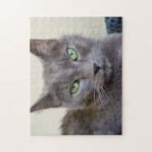 Grijze kat puzzel (Verticaal)